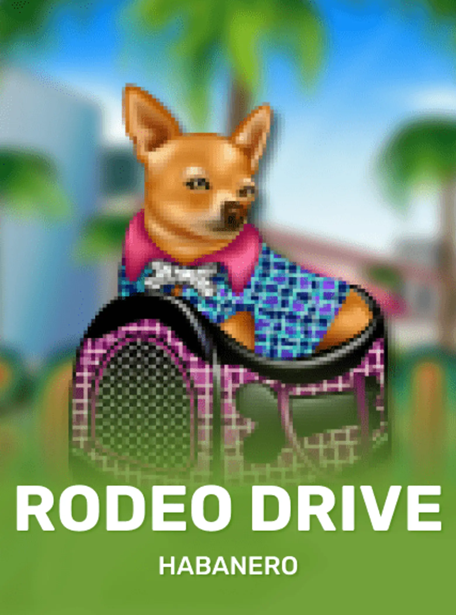 Rodeo Drive