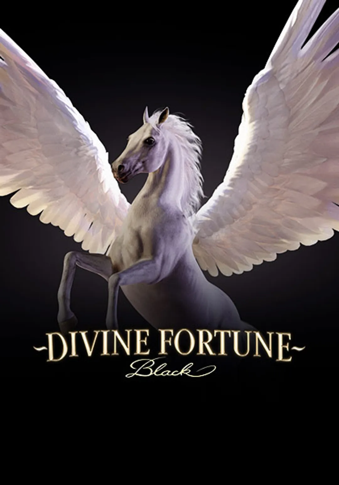DivineFortuneBlack