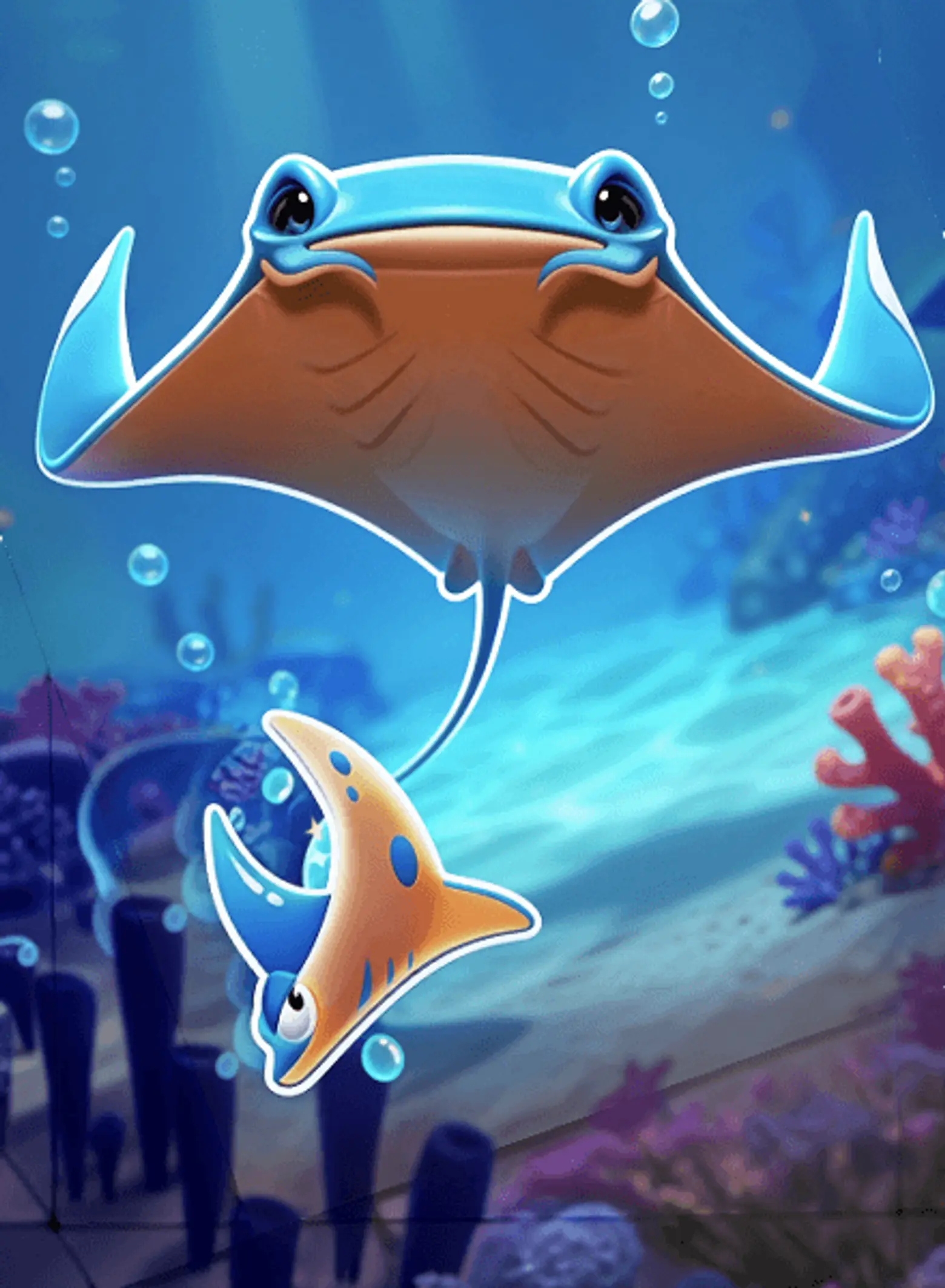 Manta-Mayhem